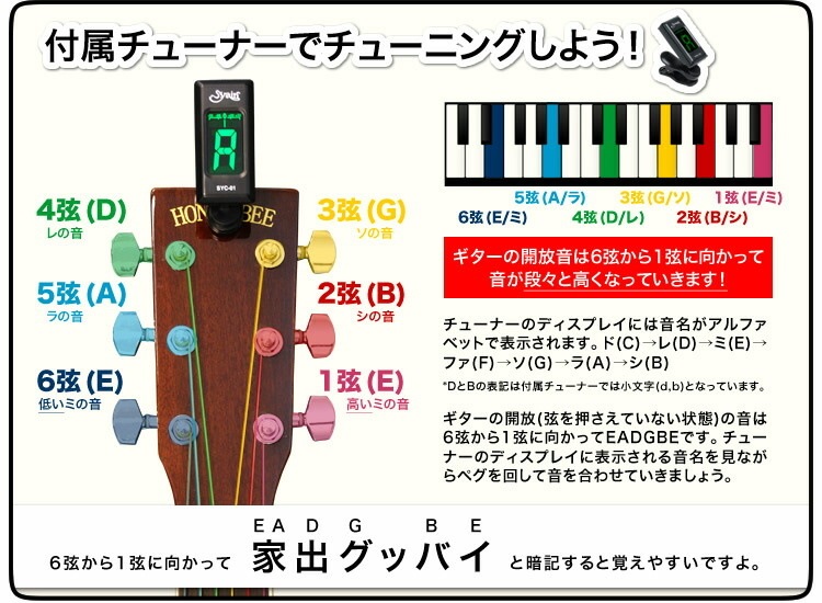 アコースティックギター（エレアコ） HONEY BEE F-16E エレアコリミテッドアンプセット【アコギ 入門セット F16E】【大型荷物】