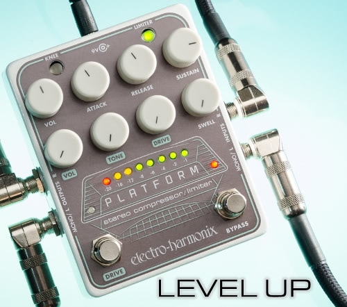 ピック10枚セット付き！】Platform(プラットフォーム) アナログ