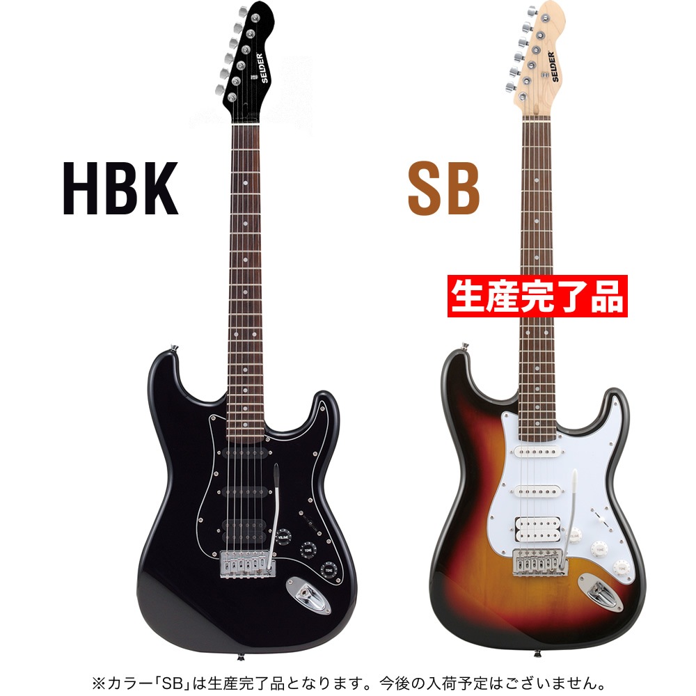 エレキギター SELDER STH-20 入門13点セット【セルダー 初心者