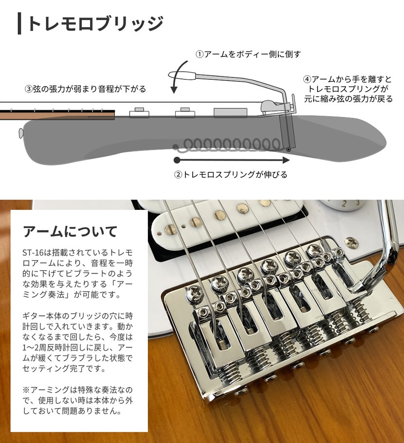 エレキギター SELDER STH-20 リミテッドセット 【セルダー 初心者セット 入門セット STH20】
