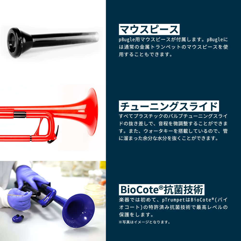 pBugle ピービューグル プラスチック製楽器 【pBone music pInstruments pビューグル プラスティック楽器 子供用管楽器 ホルン ラッパ 音育 知育楽器 知育玩具 学習楽器 簡単楽器 入門楽器 おもちゃ 楽器 軽量 高耐久 ABS製 抗菌】*