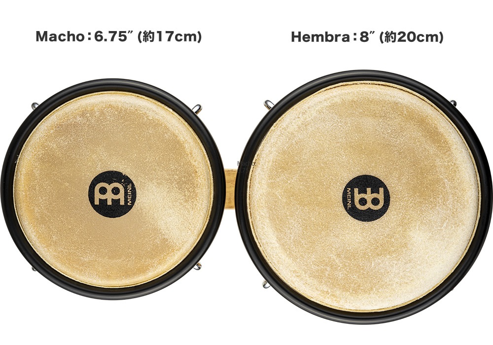 MEINL Percussion ヘッドライナーシリーズ ボンゴ HB100 + 純正スタンドセット 【HB100、THBS or THBS-BK】【マイネル パーカッション バッファローヘッド BONGO 打楽器 ボンゴスタンド】