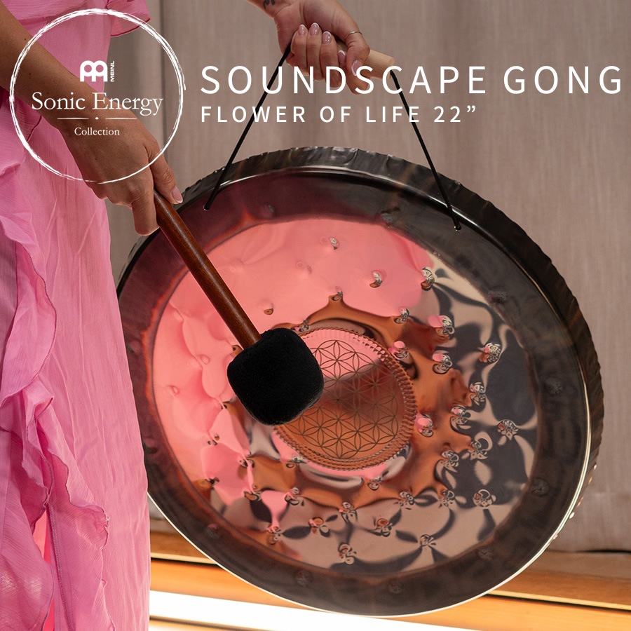MEINL Sonic Energy サウンドスケープ・ゴング 22
