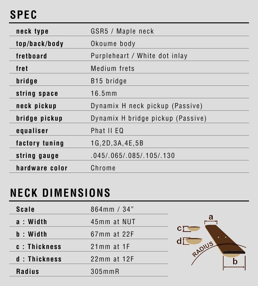 GIO Ibanez ジオアイバニーズ 5弦エレキベース GSR205 (ソフトケース付属)【大型荷物】