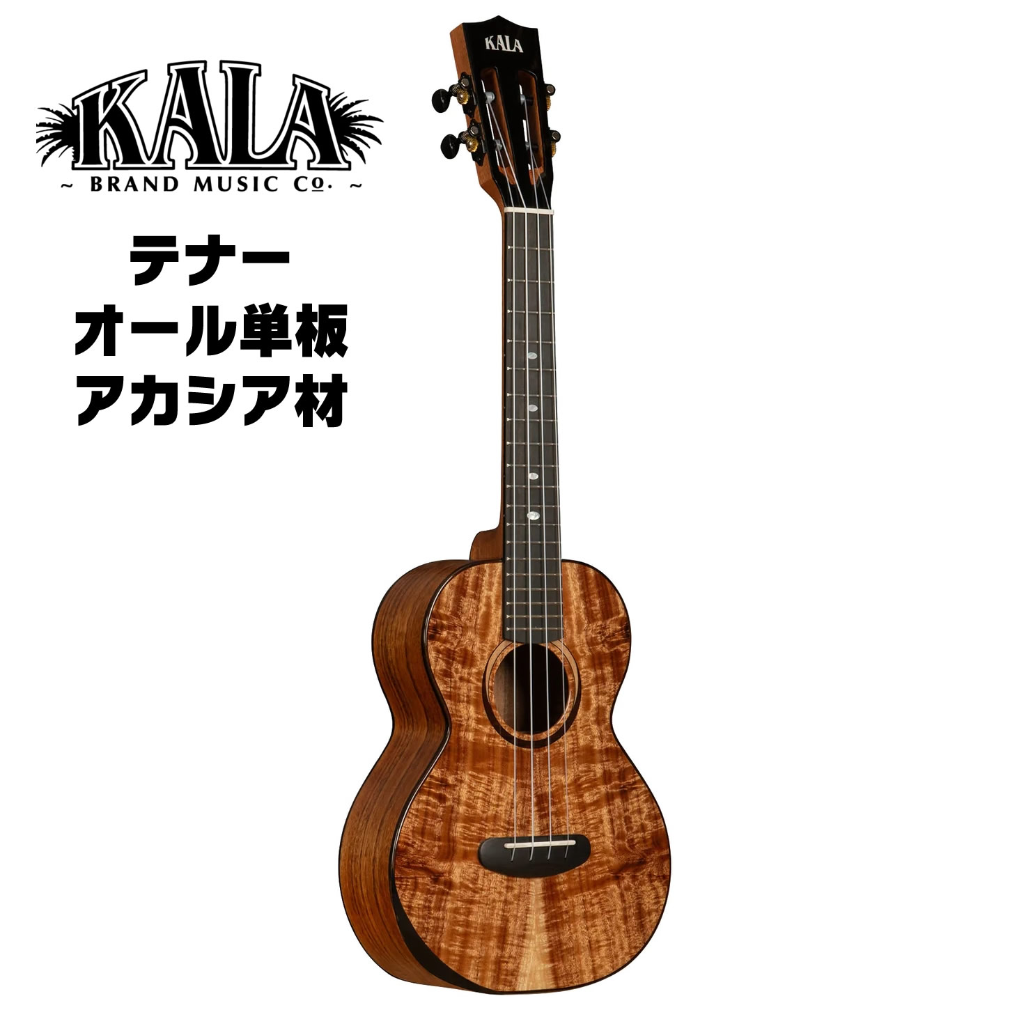 入門セット】musicアカシアコア材のテナーウクレレ【ウクレレ