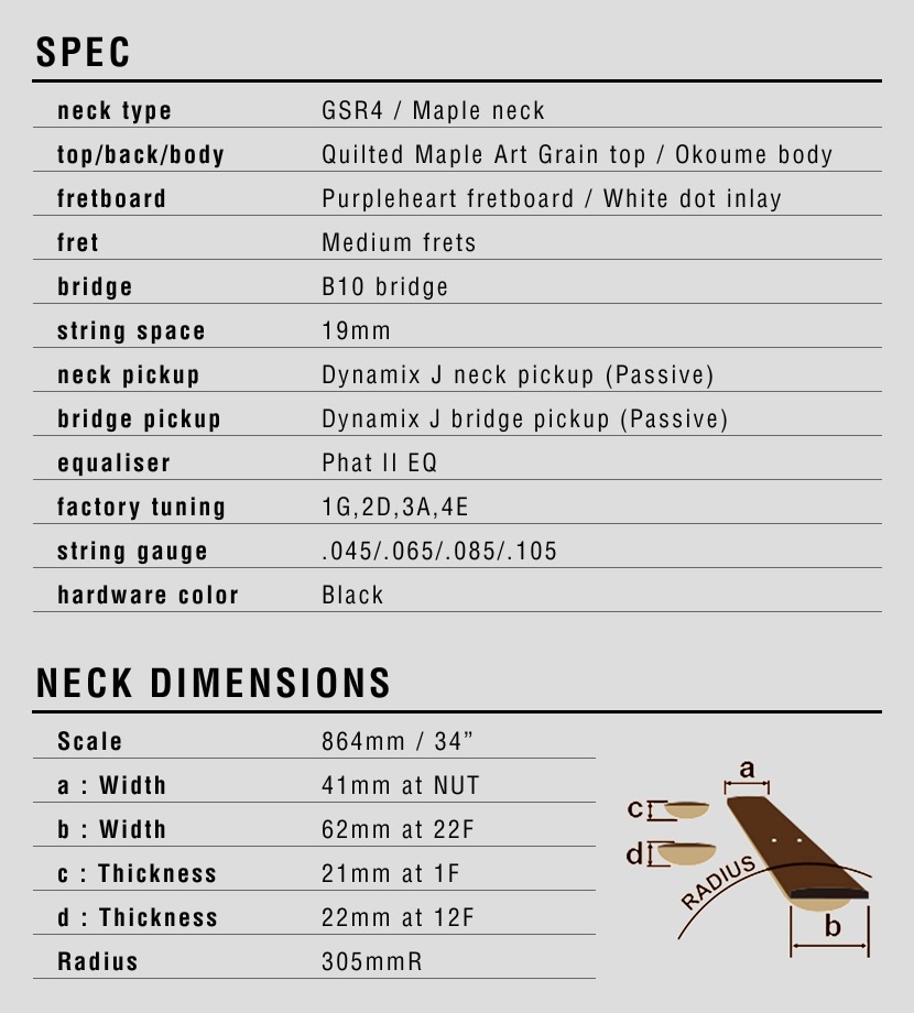 GIO Ibanez ジオアイバニーズ エレキベース GSR280QA 小型アンプ(PG-10)入門セット【大型荷物】