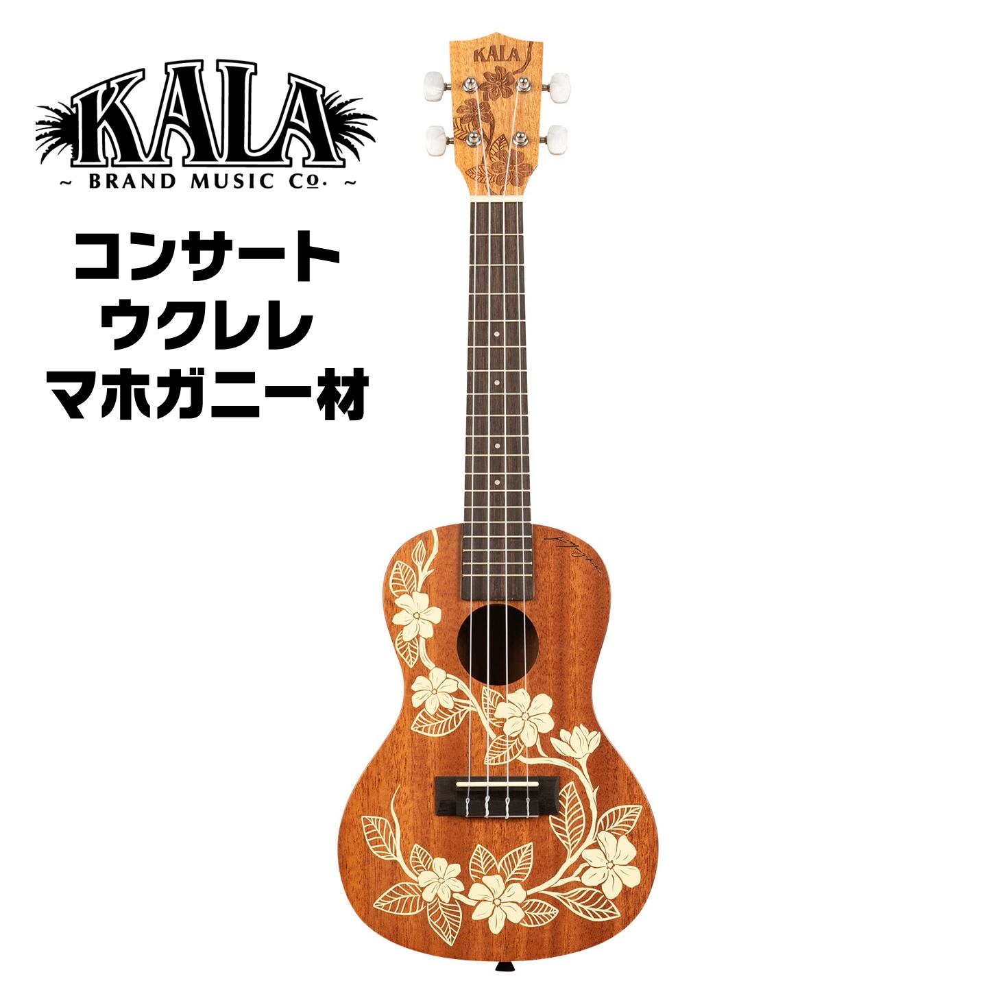 KALA コンサート ウクレレ KA-GARDENIA-C ギグバッグ付属【カラ