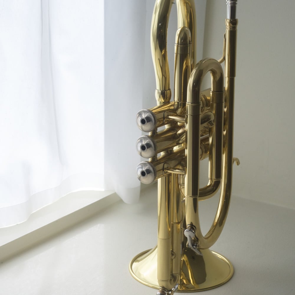 コルネット 入門セット Soleil SCT-1 [ B♭ ] 【 ソレイユ 初心者セット CORNET SCT1 吹奏楽部 管楽器 】