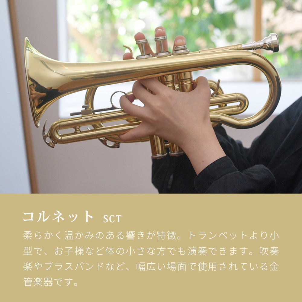 コルネット 入門セット Soleil SCT-1 [ B♭ ] 【 ソレイユ 初心者セット CORNET SCT1 吹奏楽部 管楽器 】