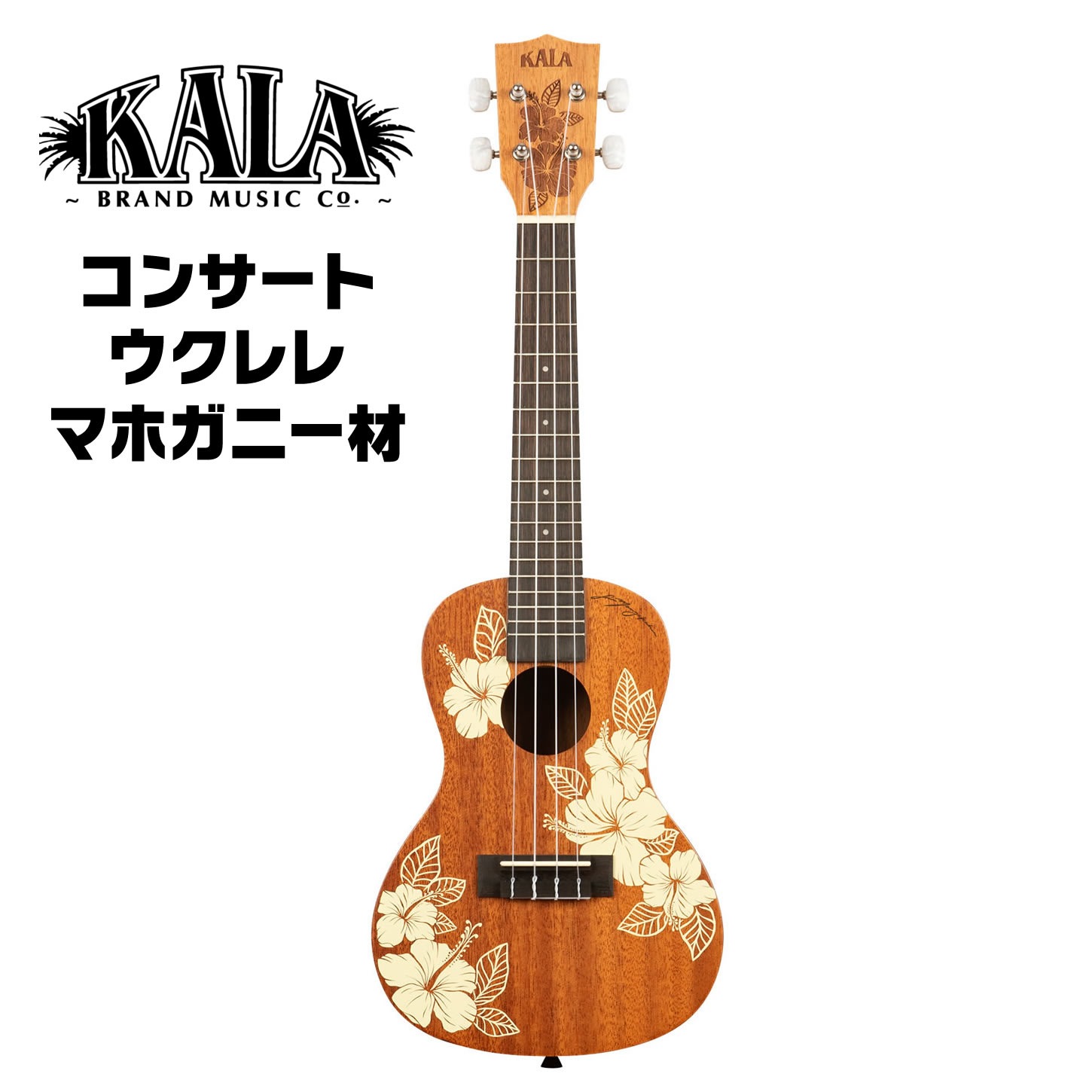 KALA コンサート ウクレレ KA-HIBISCUS-C ギグバッグ付属【カラ 