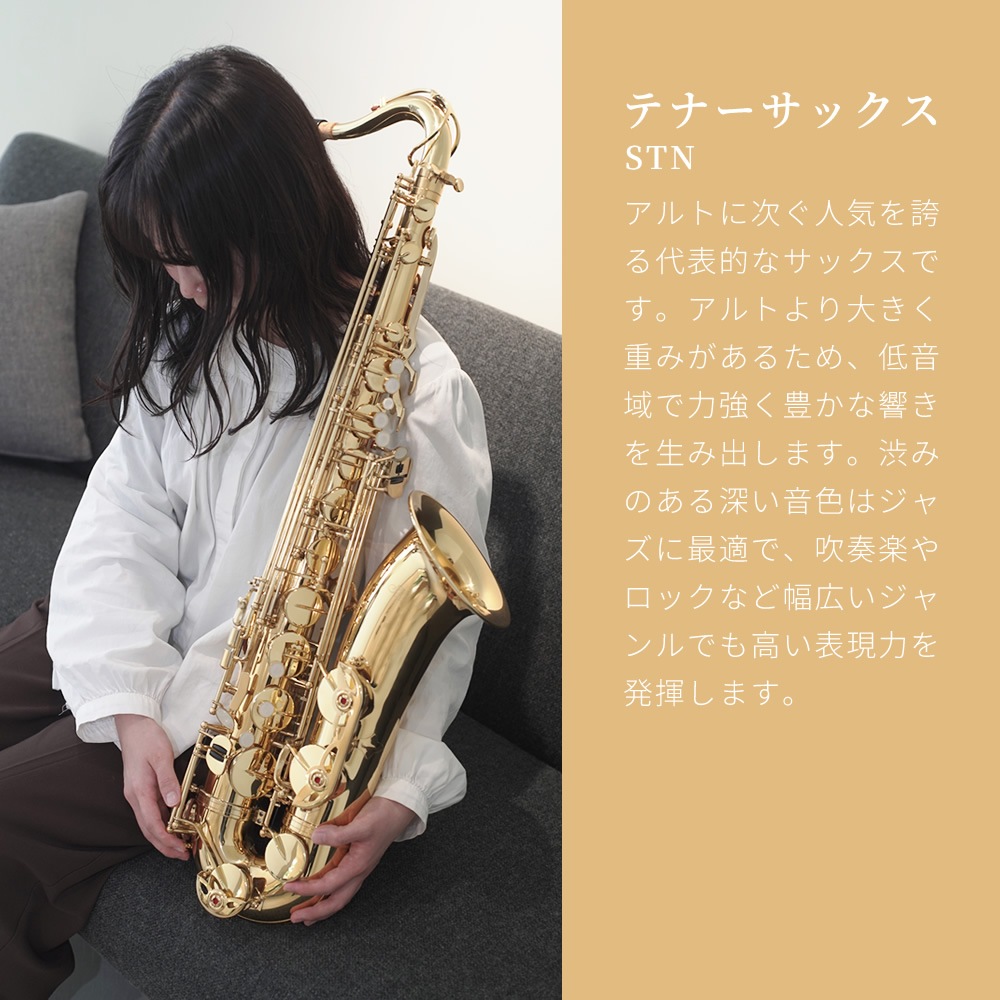 Soleil テナーサックス 初心者 入門セット STN-1【ソレイユ STN1 管楽器】