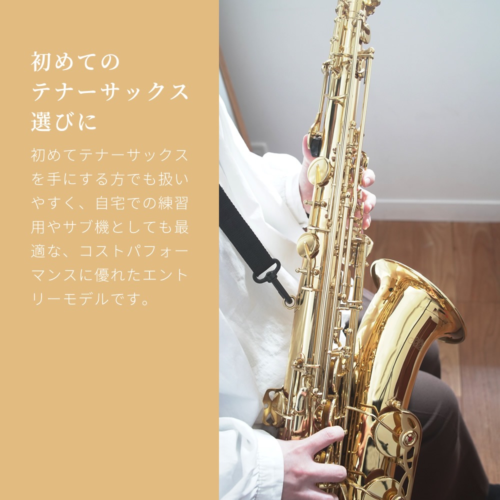 Soleil テナーサックス 初心者 入門セット STN-1【ソレイユ STN1 管楽器】