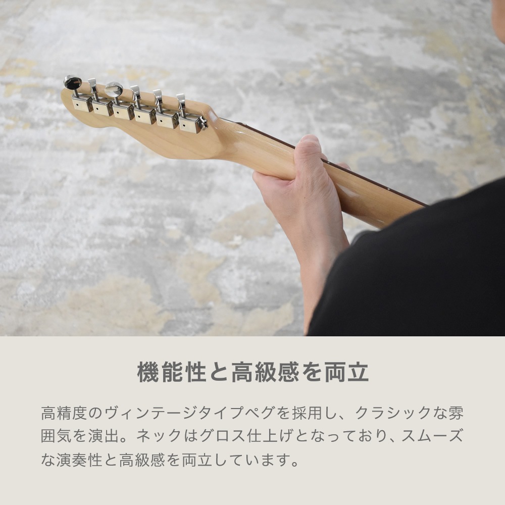 テレキャスターシンラインタイプ エレキギター SELDER TLT-20 13点 初心者セット 【 セルダー 入門セット テレキャスター タイプ テレキャス タイプ シンライン タイプ TLT20 Telecaster type Thinline type 】