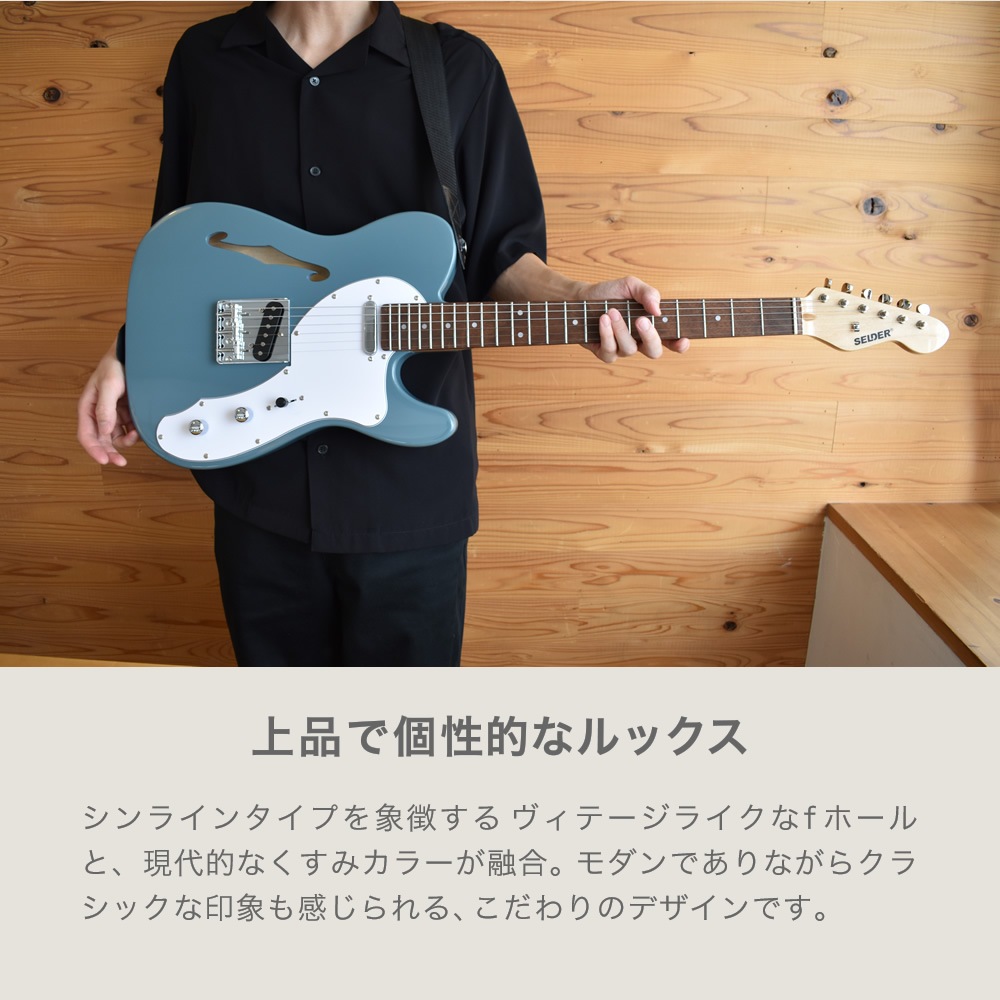 テレキャスターシンラインタイプ エレキギター SELDER TLT-20 13点 初心者セット 【 セルダー 入門セット テレキャスター タイプ テレキャス タイプ シンライン タイプ TLT20 Telecaster type Thinline type 】