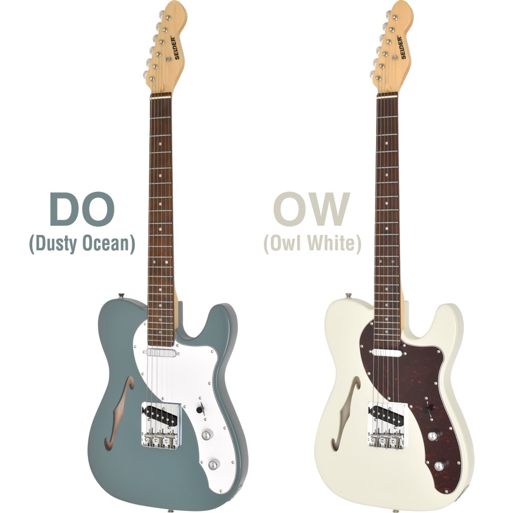 テレキャスターシンラインタイプ エレキギター SELDER TLT-20 13点 初心者セット 【 セルダー 入門セット テレキャスター タイプ テレキャス タイプ シンライン タイプ TLT20 Telecaster type Thinline type 】