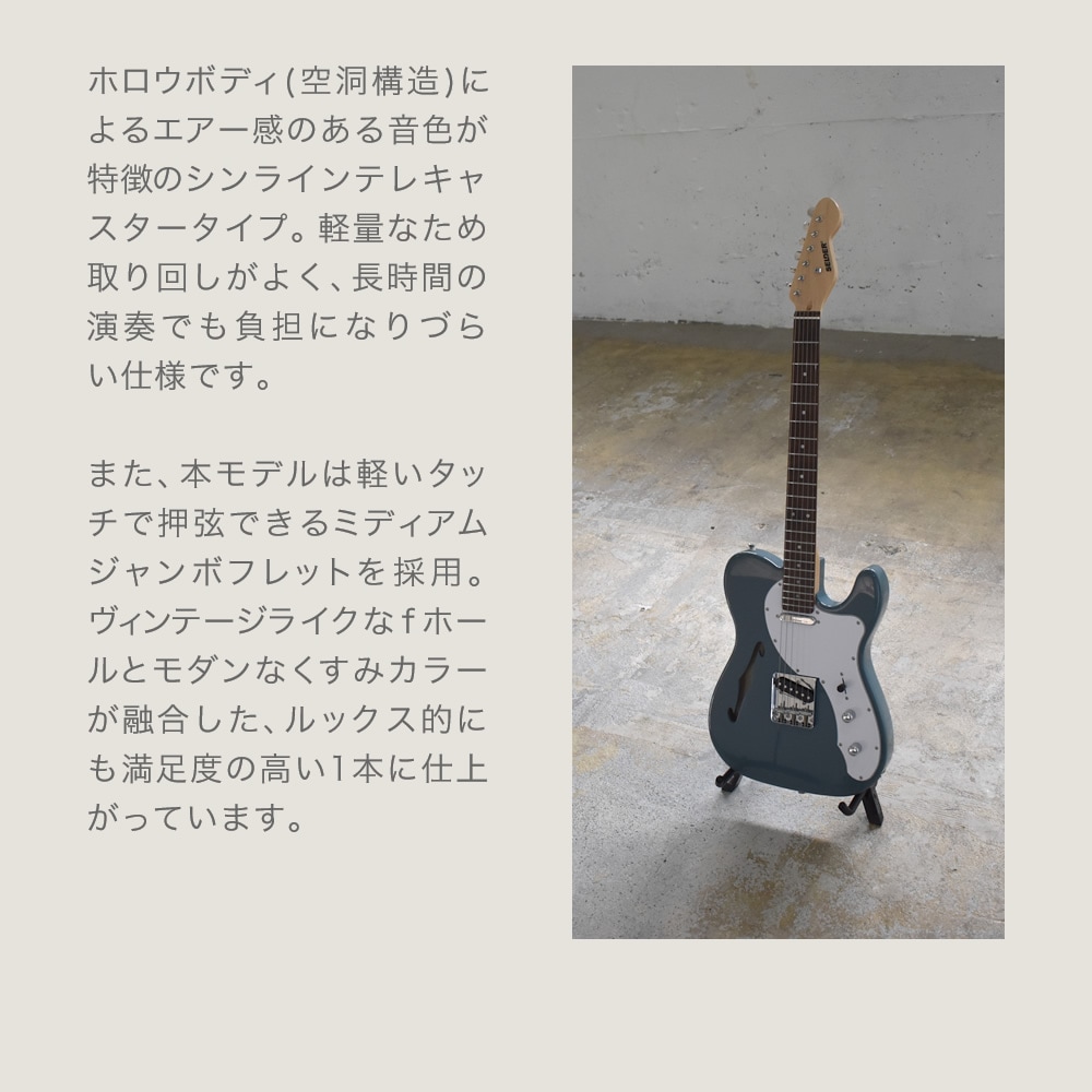 テレキャスターシンラインタイプ エレキギター SELDER TLT-20 13点