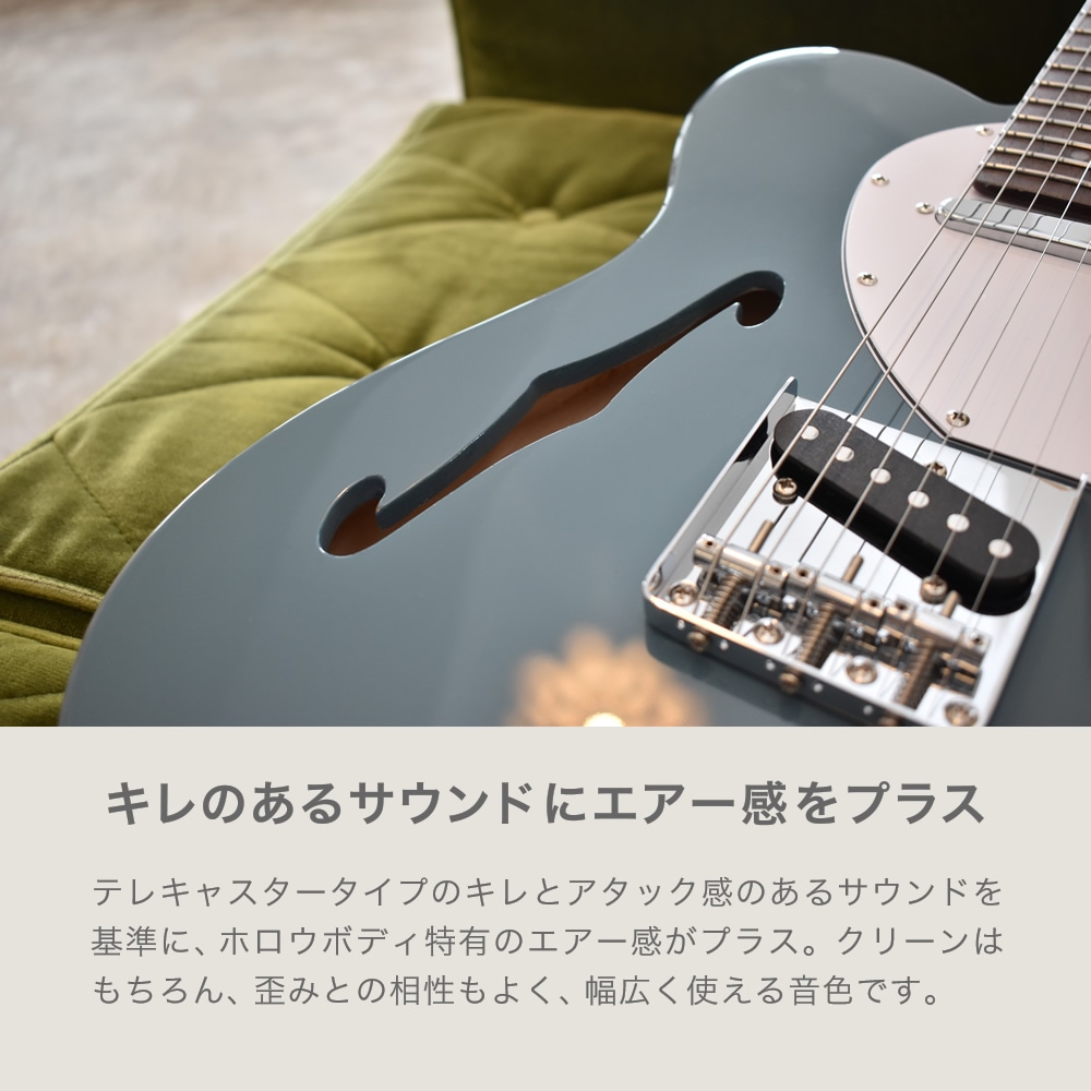 テレキャスターシンラインタイプ エレキギター SELDER TLT-20 13点 初心者セット 【 セルダー 入門セット テレキャスター タイプ テレキャス タイプ シンライン タイプ TLT20 Telecaster type Thinline type 】