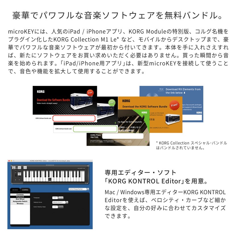 KORG コンパクト MIDI キーボード microKEY2-49 [49鍵モデル]【第二世代 コルグ マイクロキー 音楽制作 DTM USBバスパワー駆動】