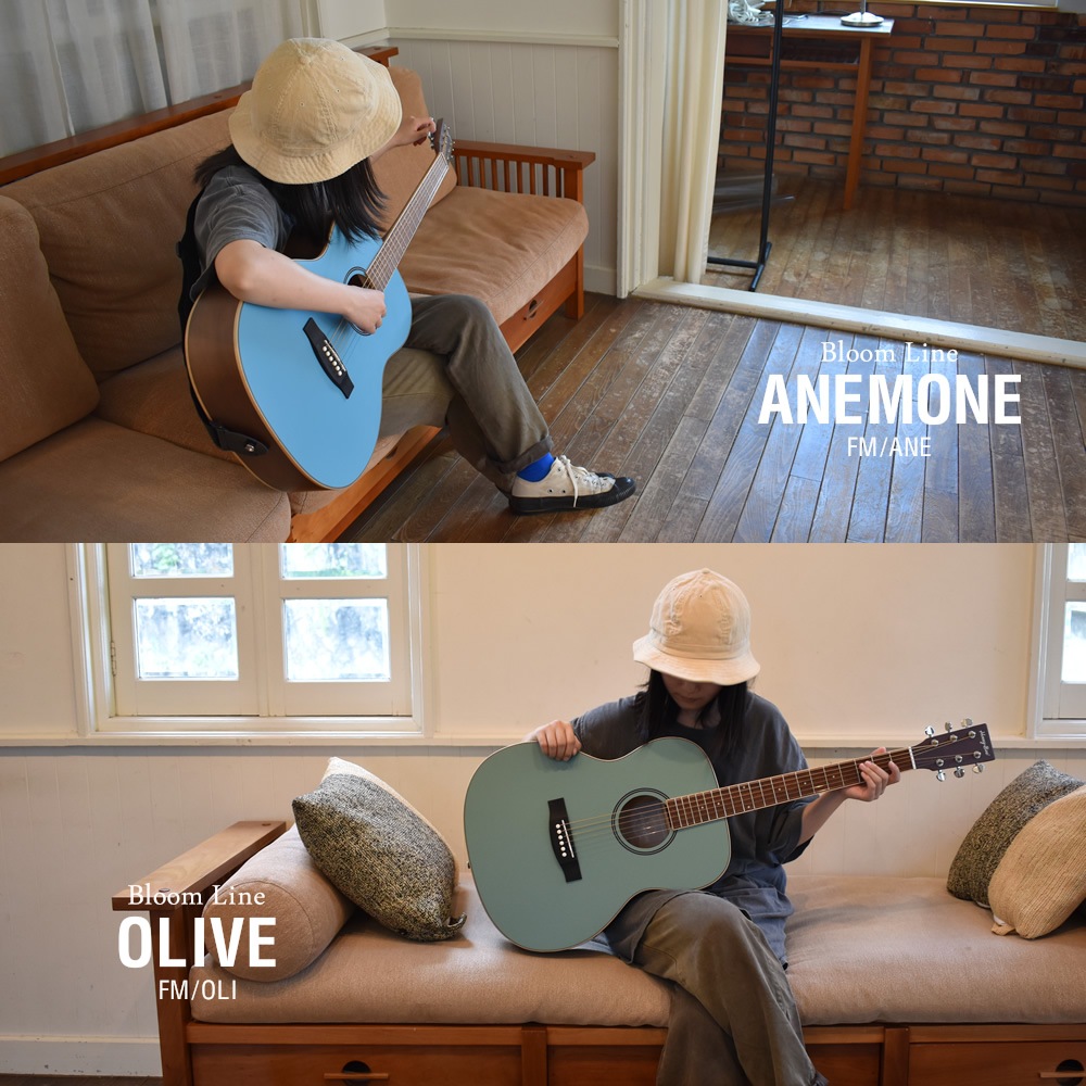 アコースティックギター HONEY BEE W-15/F-15/HJ-18 （本体のみ）【アコースティックギター ハニービー アコギ 初心者 W15 F15 HJ18】【大型荷物】