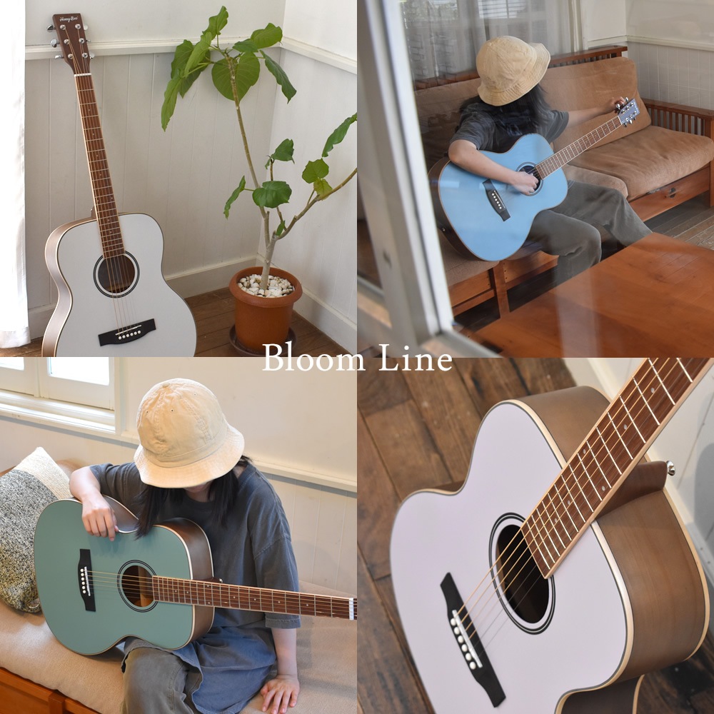 アコースティックギター HONEY BEE W-15/F-15/HJ-18 （本体のみ）【アコースティックギター ハニービー アコギ 初心者 W15 F15 HJ18】【大型荷物】