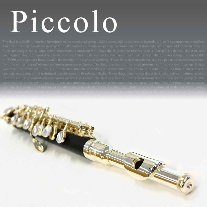 Soleil ピッコロ SPC-1（単品）【ソレイユ SPC1 管楽器】
