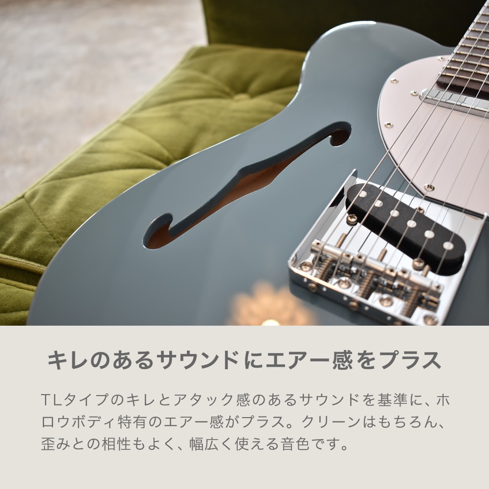 TLシンラインタイプ エレキギター SELDER TLT-20 ソフトケース・シールド付属 【 セルダー シンライン タイプ TLT20 Thinline type 】