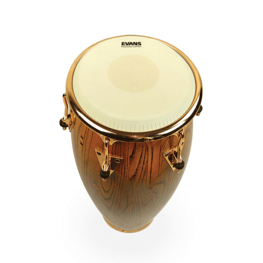 EVANS エヴァンス Tri-Center コンガヘッド 11.00