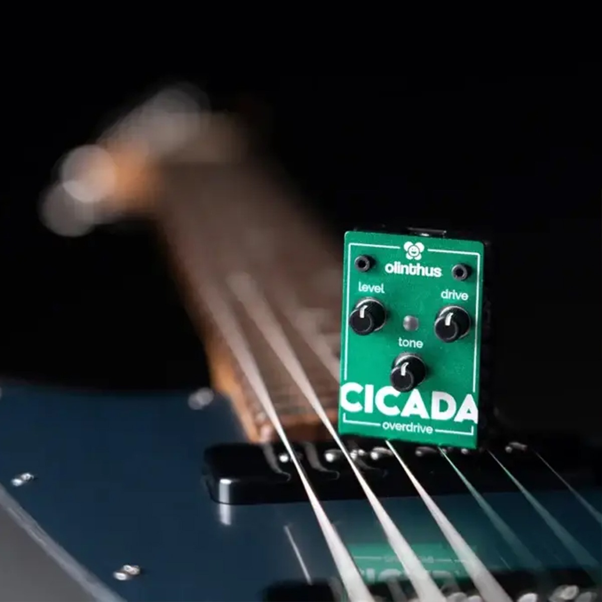 【ピック10枚セット付き！ 】CICADA (シカダ) オーバードライブ 【 olinthus オリンサス シケーダ シケイダ TS系 歪み 世界最小 ペダル エフェクター 】