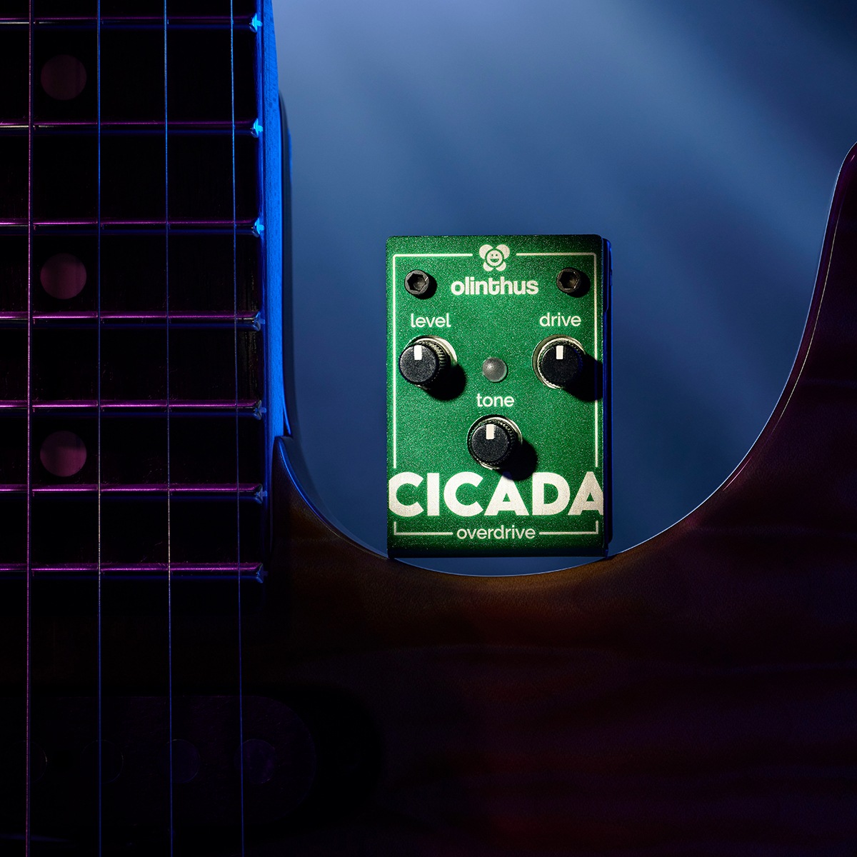 【ピック10枚セット付き！ 】CICADA (シカダ) オーバードライブ 【 olinthus オリンサス シケーダ シケイダ TS系 歪み 世界最小 ペダル エフェクター 】