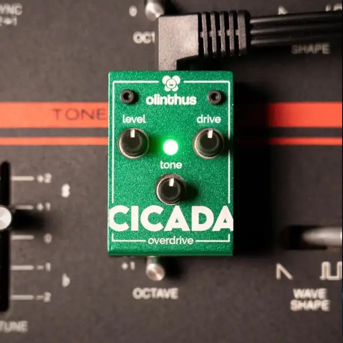 【ピック10枚セット付き！ 】CICADA (シカダ) オーバードライブ 【 olinthus オリンサス シケーダ シケイダ TS系 歪み 世界最小 ペダル エフェクター 】