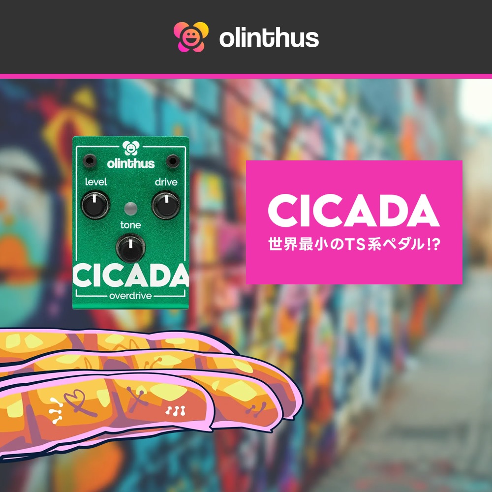 【ピック10枚セット付き！ 】CICADA (シカダ) オーバードライブ 【 olinthus オリンサス シケーダ シケイダ TS系 歪み 世界最小 ペダル エフェクター 】