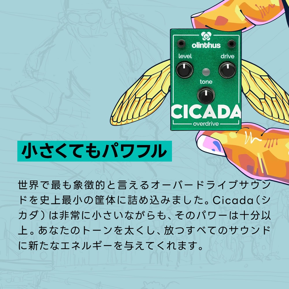 【ピック10枚セット付き！ 】CICADA (シカダ) オーバードライブ 【 olinthus オリンサス シケーダ シケイダ TS系 歪み 世界最小 ペダル エフェクター 】