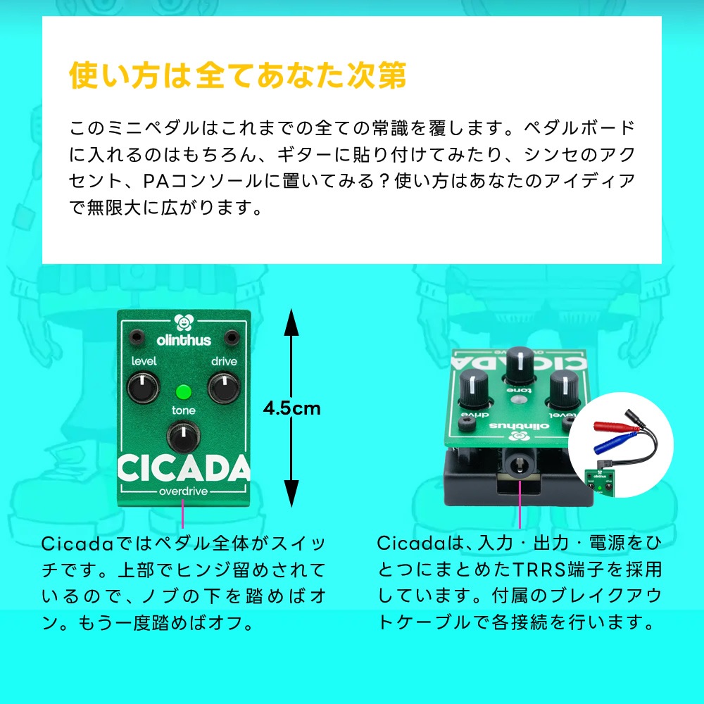 【ピック10枚セット付き！ 】CICADA (シカダ) オーバードライブ 【 olinthus オリンサス シケーダ シケイダ TS系 歪み 世界最小 ペダル エフェクター 】