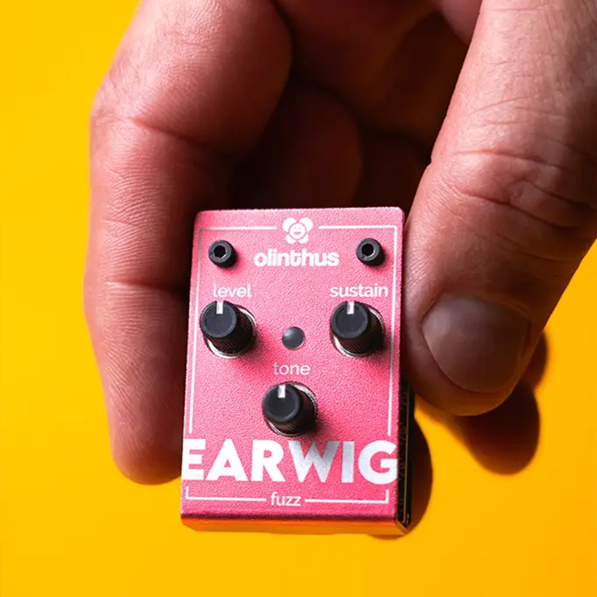 【ピック10枚セット付き！ 】EARWIG (イアーウィグ) ファズ 【 olinthus オリンサス BigMuff系 ビッグマフ系 歪み 世界最小クラス ペダル エフェクター 】