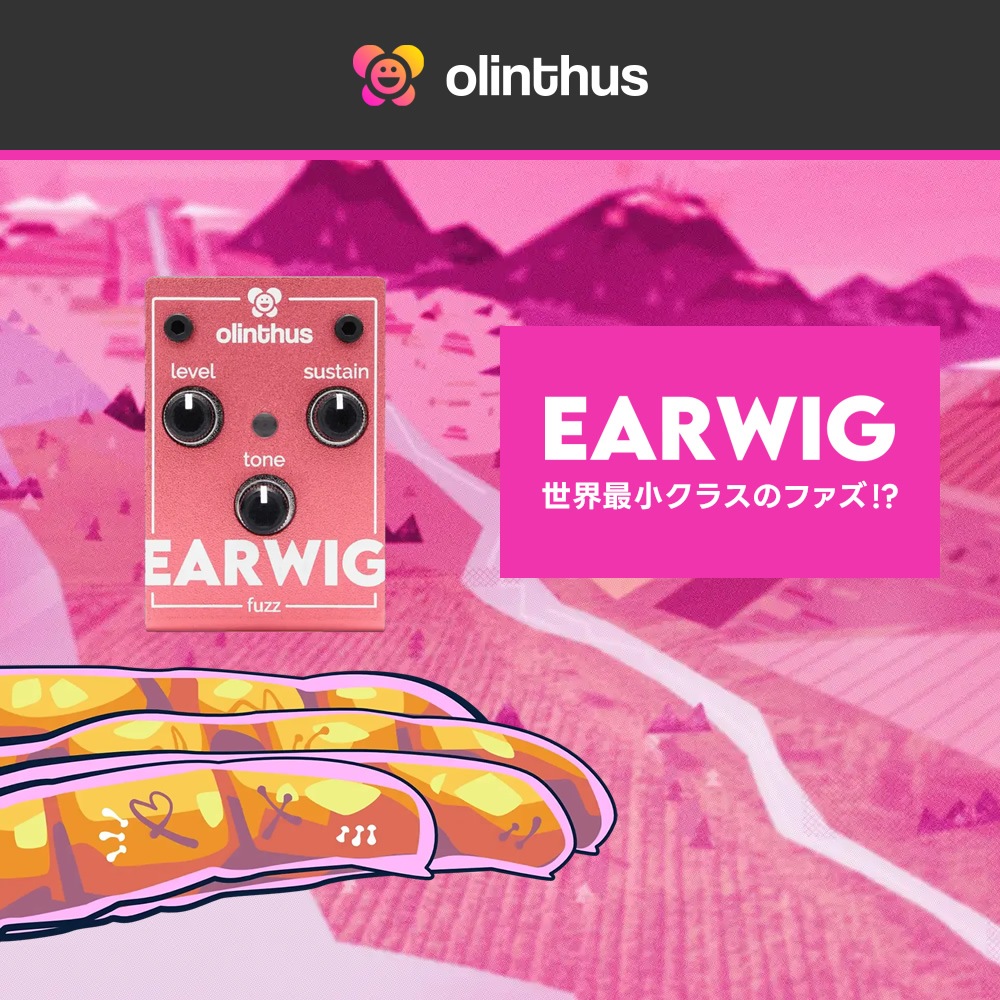 【ピック10枚セット付き！ 】EARWIG (イアーウィグ) ファズ 【 olinthus オリンサス BigMuff系 ビッグマフ系 歪み 世界最小クラス ペダル エフェクター 】