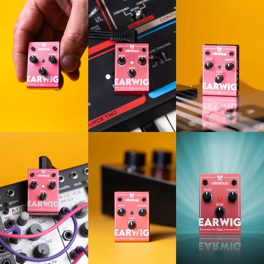 【ピック10枚セット付き！ 】EARWIG (イアーウィグ) ファズ 【 olinthus オリンサス BigMuff系 ビッグマフ系 歪み 世界最小クラス ペダル エフェクター 】