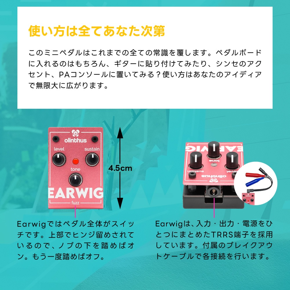 【ピック10枚セット付き！ 】EARWIG (イアーウィグ) ファズ 【 olinthus オリンサス BigMuff系 ビッグマフ系 歪み 世界最小クラス ペダル エフェクター 】