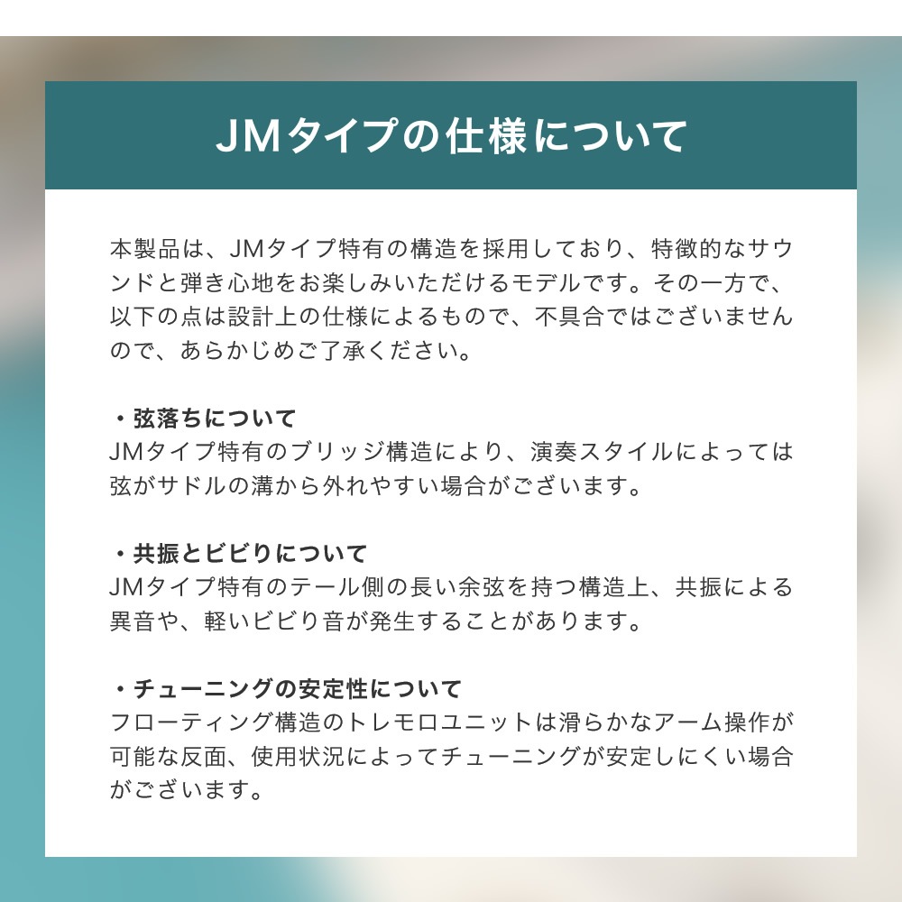 JMタイプ エレキギター SELDER JM-26M 単品(ソフトケース・シールド付属) 【 セルダー JM26M 】【大型荷物】
