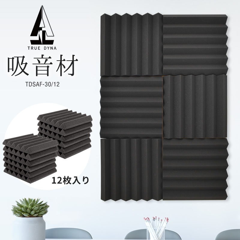 TRUEDYNA 吸音材 耐水性両面テープつき TDSAF-30/12 (12枚入り)【反響