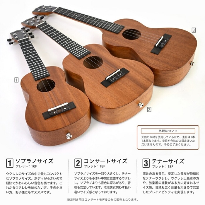 S.Yairi ウクレレ 左利き用 YU-C-03MTS/LH 単品（コンサートサイズ、マホガニー、トップ単板、ギアペグ仕様、ギグバッグ付属)【ヤイリ YUC03MTS レフトハンドモデル】