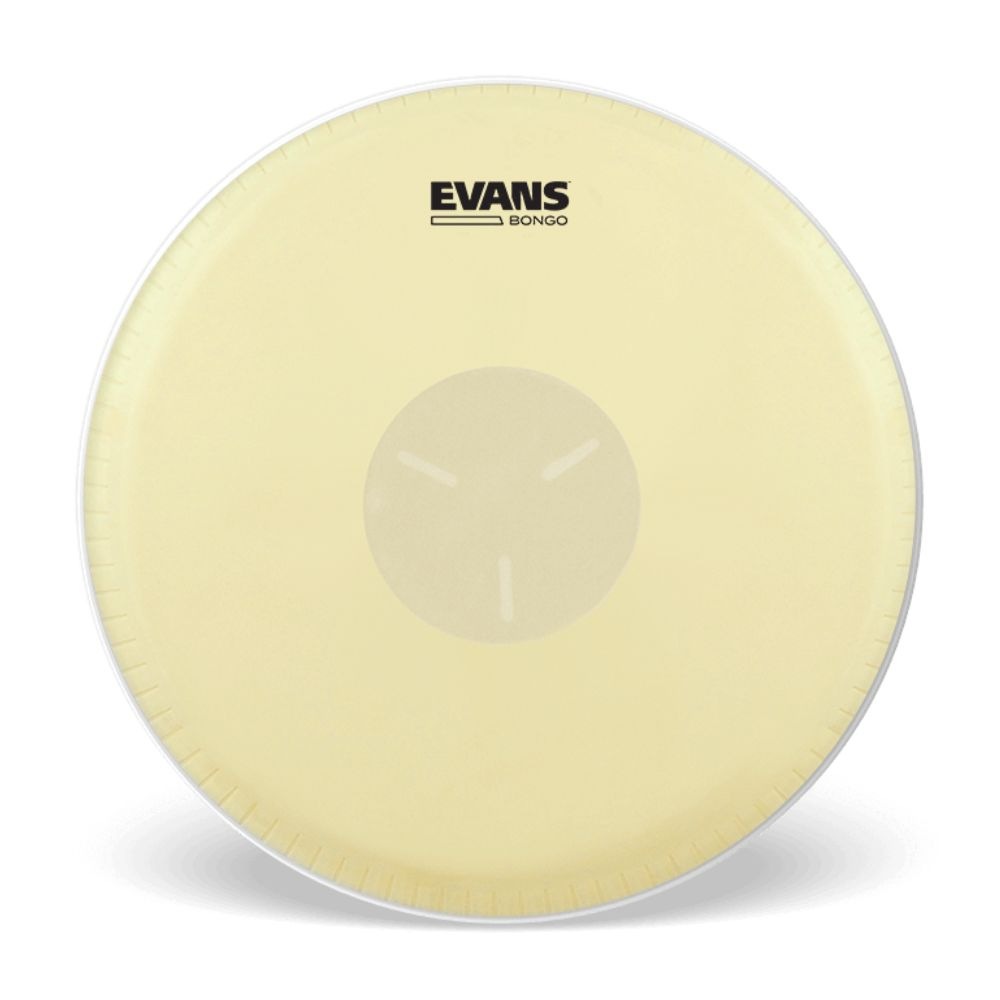 EVANS ボンゴ ヘッド  EB09/8 5/8