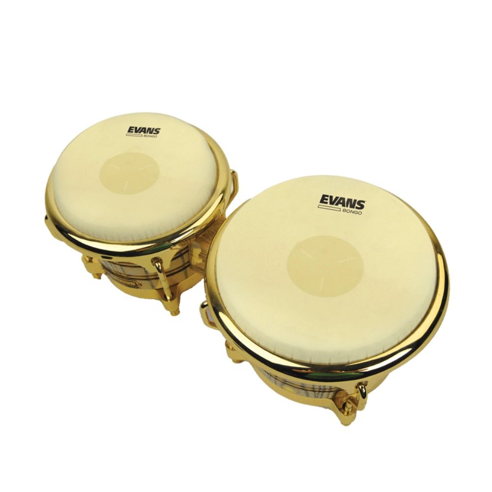 EVANS ボンゴ ヘッド  EB09/8 5/8