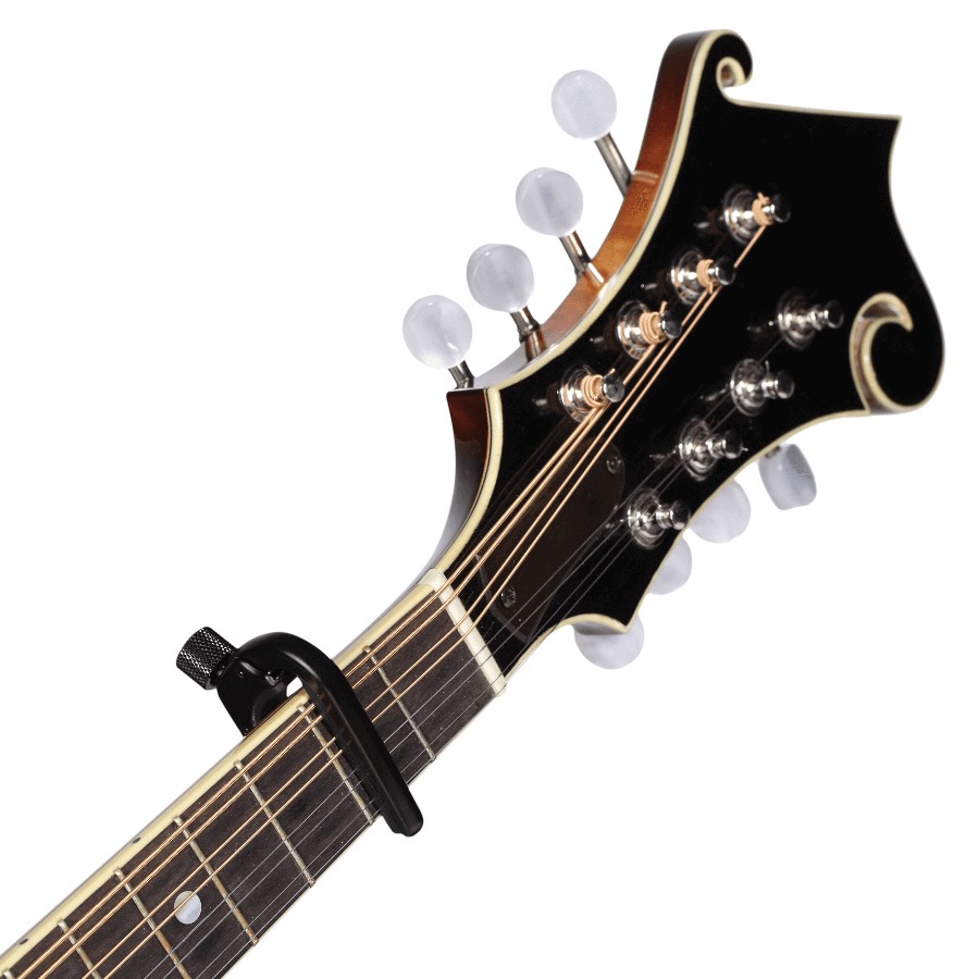 D'Addario カポタスト NS Banjo/Mandolin Capo Pro PW-CP-11【4弦・5弦