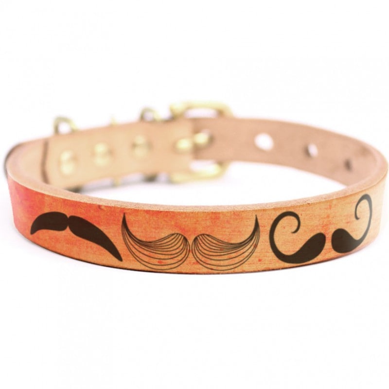 Framer アートなグラフィック本革首輪　真鍮無垢金具 サイズSSS～LL ベルト幅16mm/12mm/24mm #23008