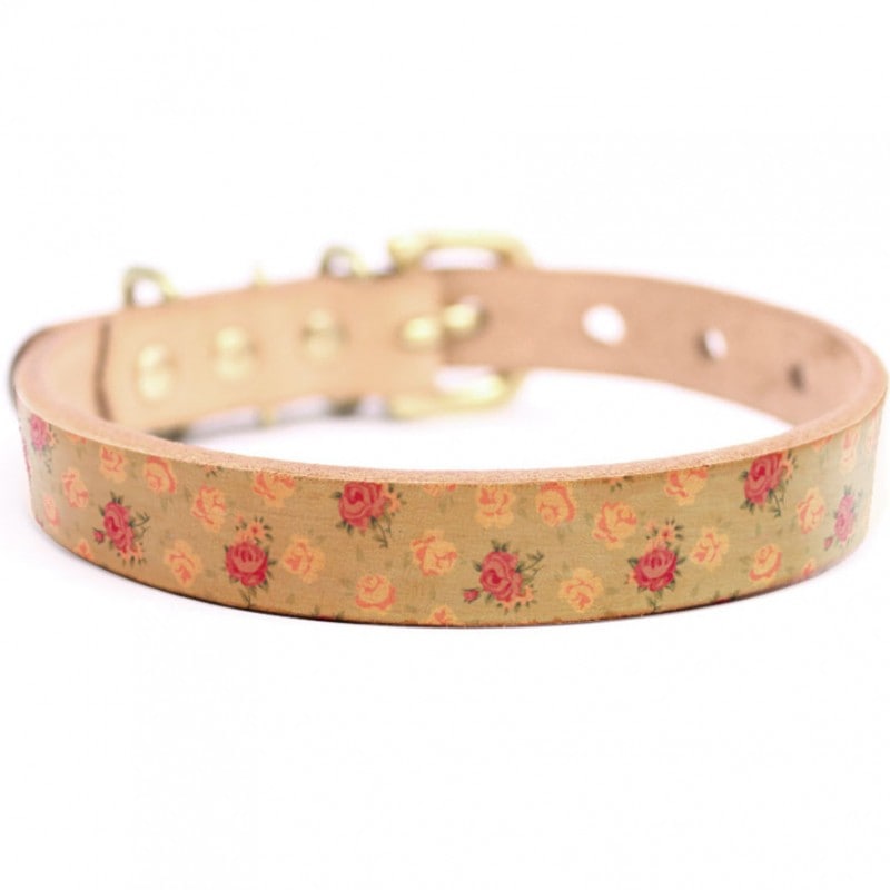 Framer アートなグラフィック本革首輪　真鍮無垢金具 サイズSSS～LL ベルト幅16mm/12mm/24mm #23012