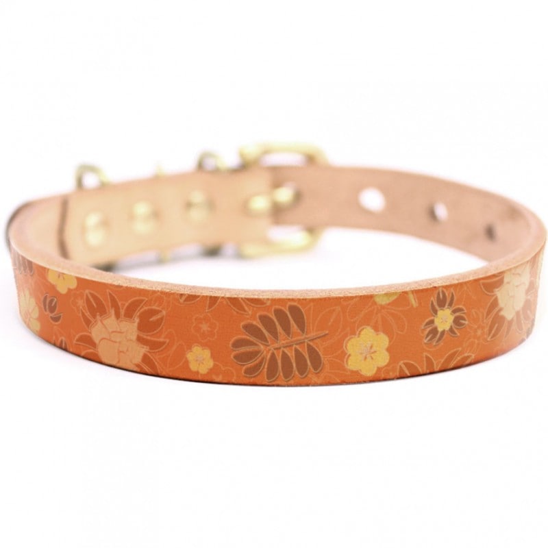 Framer アートなグラフィック本革首輪　真鍮無垢金具 サイズSSS～LL ベルト幅16mm/12mm/24mm #23031