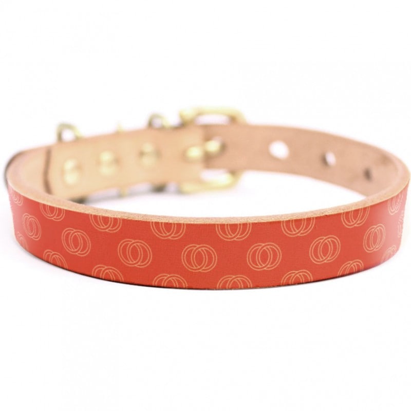 Framer アートなグラフィック本革首輪　真鍮無垢金具 サイズSSS～LL ベルト幅16mm/12mm/24mm #23044