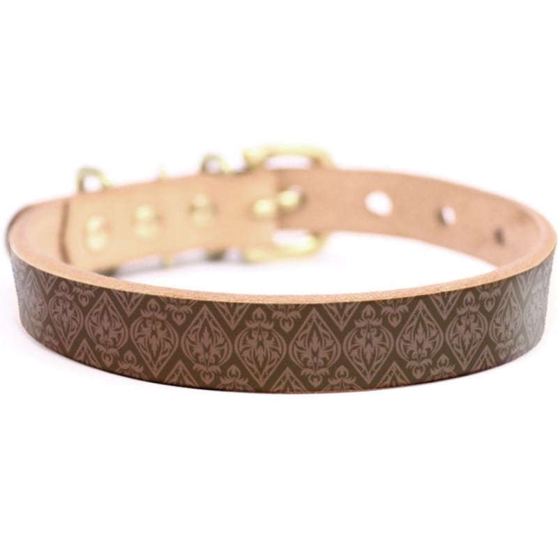 Framer アートなグラフィック本革首輪　真鍮無垢金具 サイズSSS～LL ベルト幅16mm/12mm/24mm #23050