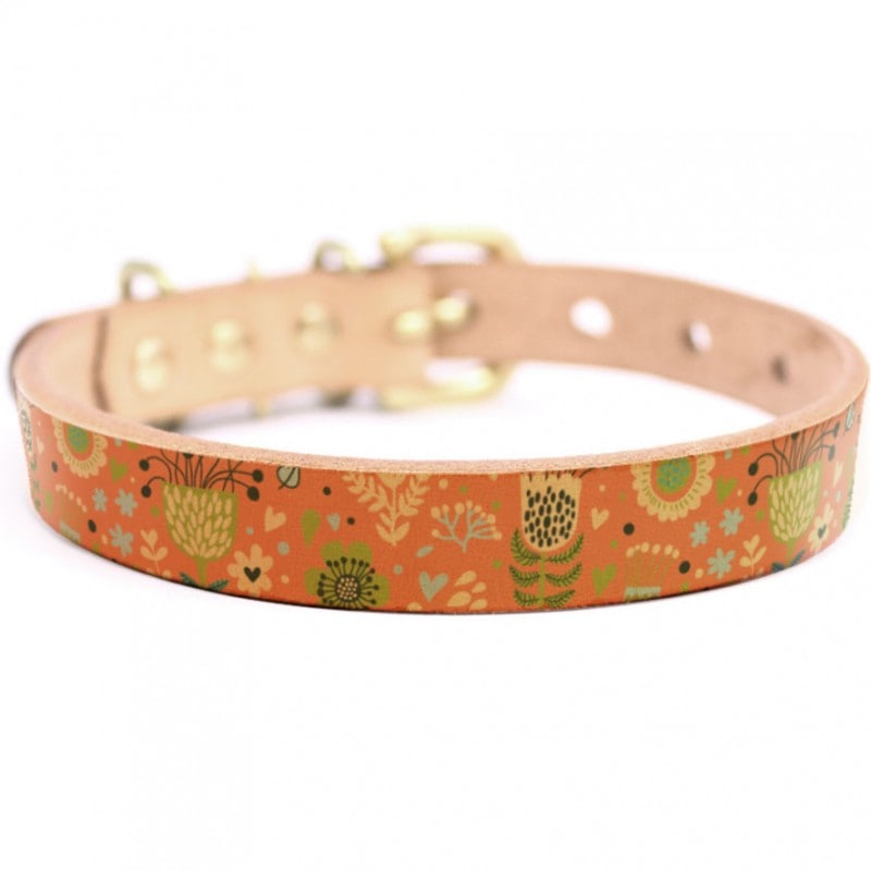 Framer アートなグラフィック本革首輪　真鍮無垢金具 サイズSSS～LL ベルト幅16mm/12mm/24mm #23055