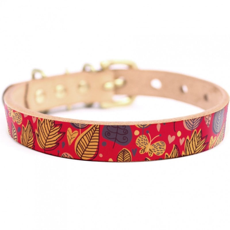 Framer アートなグラフィック本革首輪　真鍮無垢金具 サイズSSS～LL ベルト幅16mm/12mm/24mm #23056